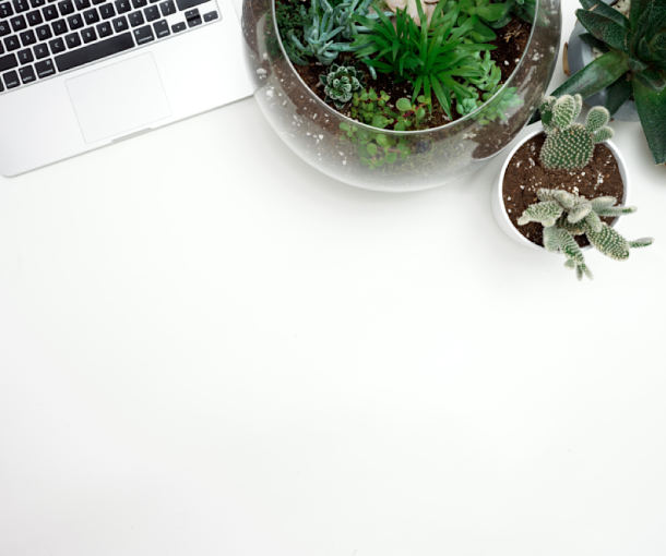 Impara a Proteggere i Tuoi Dati con Space Shelter