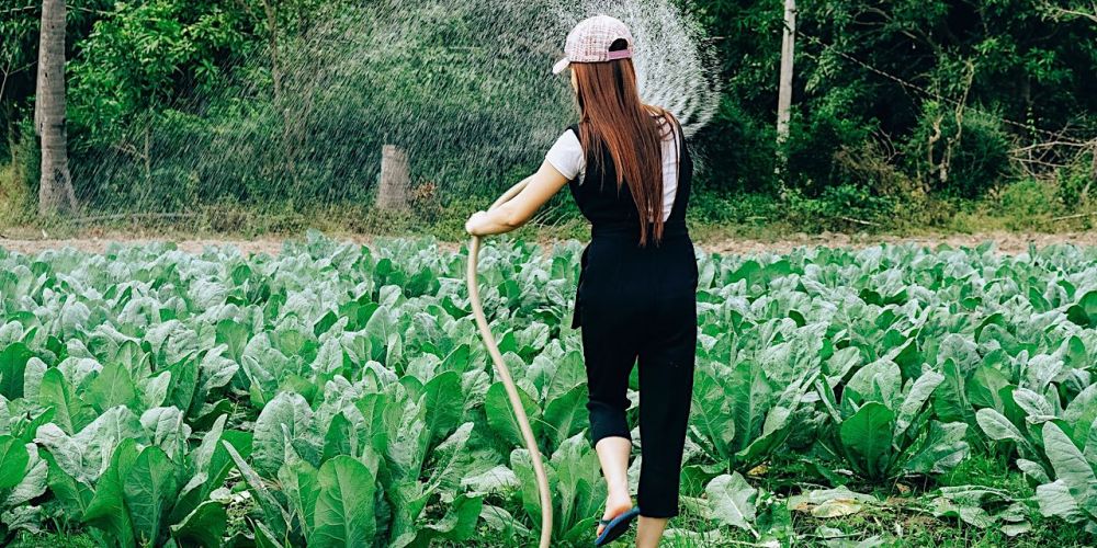 Ploovium: Irrigazione Intelligente per Risparmiare Acqua e Costi