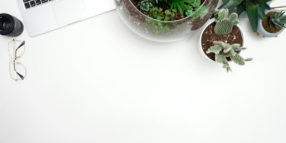 Piante Ideali per il Tuo Spazio di Lavoro: Benefici e Consigli