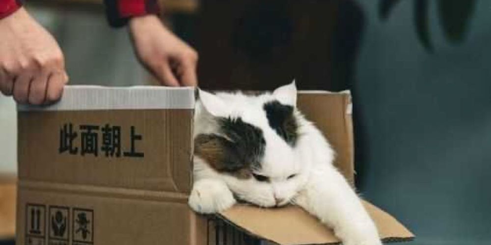 Hai gia fatto il backup oggi?